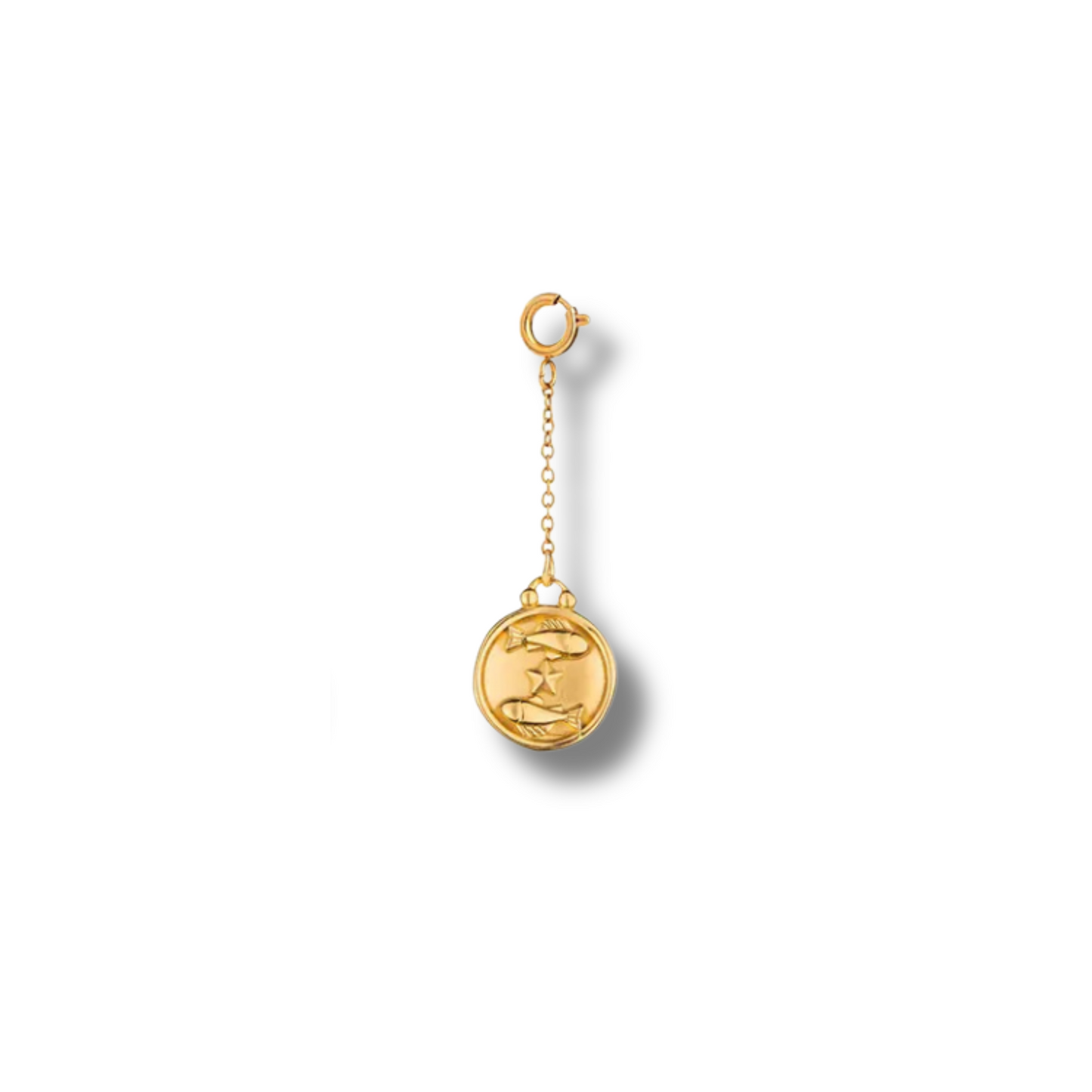 Zodiac Sign Charm