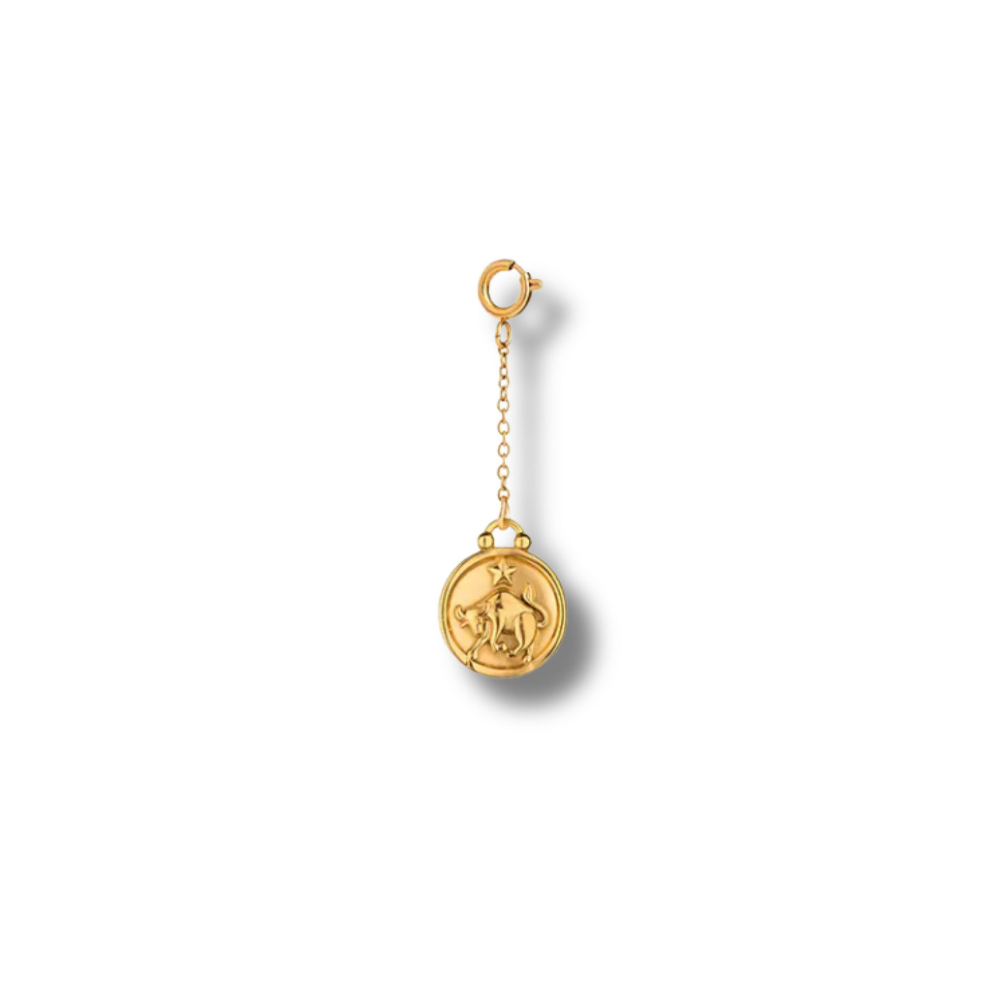 Zodiac Sign Charm
