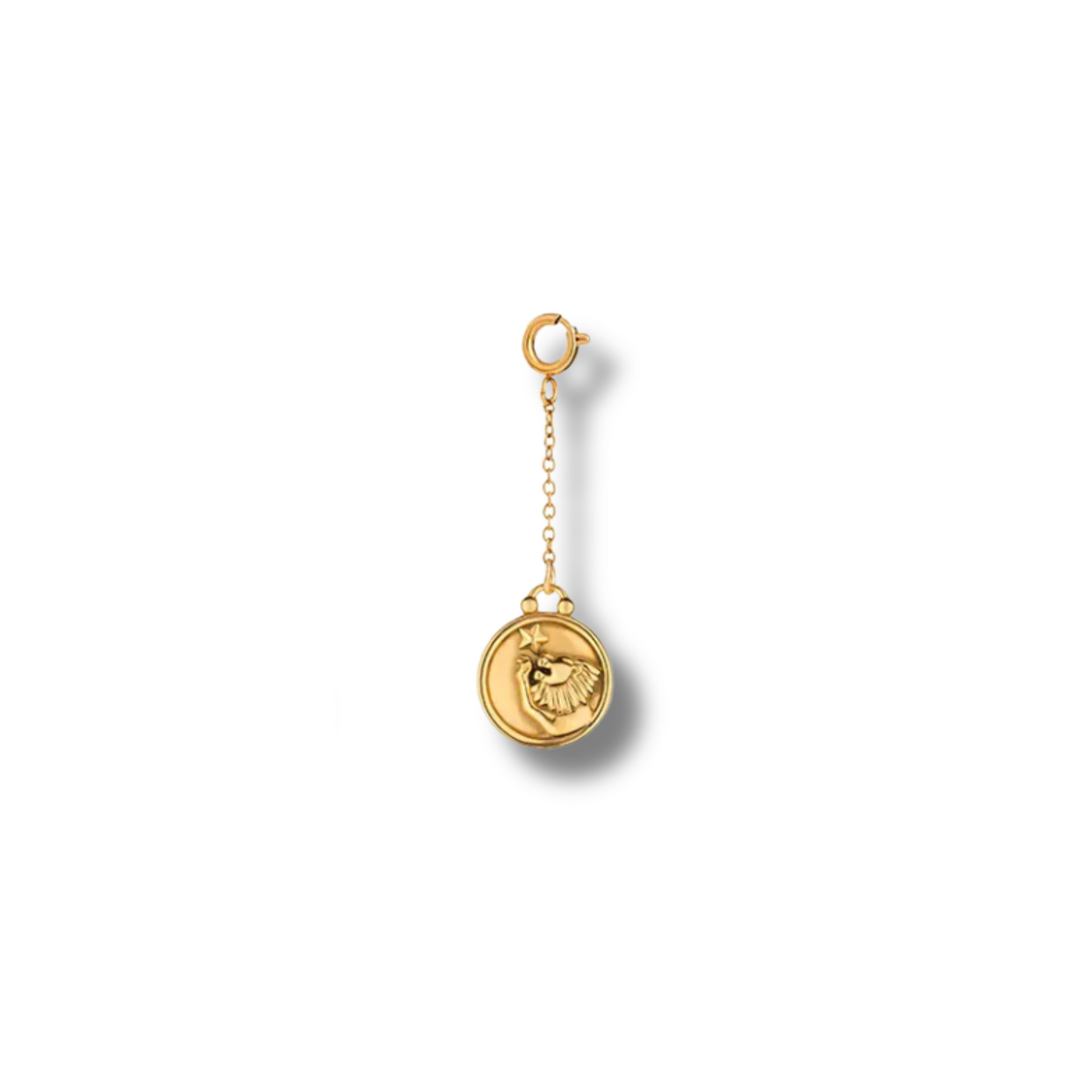 Zodiac Sign Charm