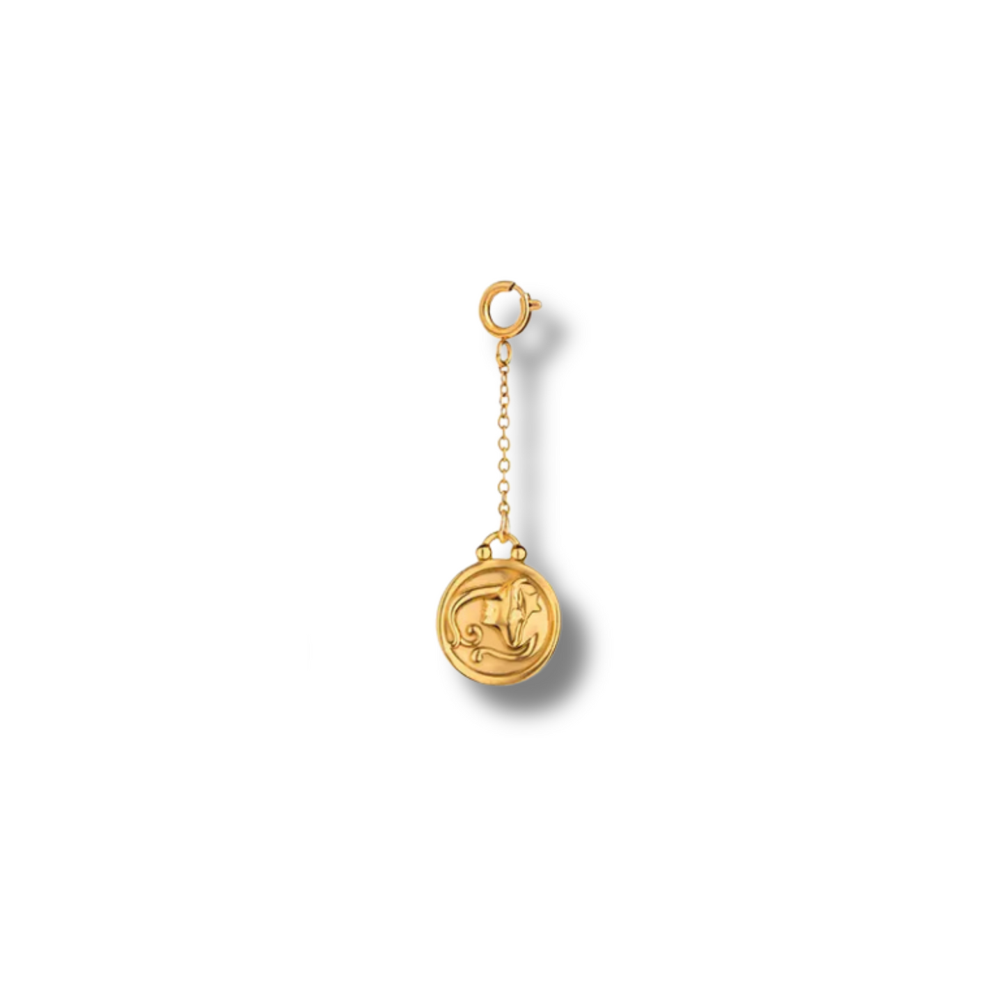 Zodiac Sign Charm