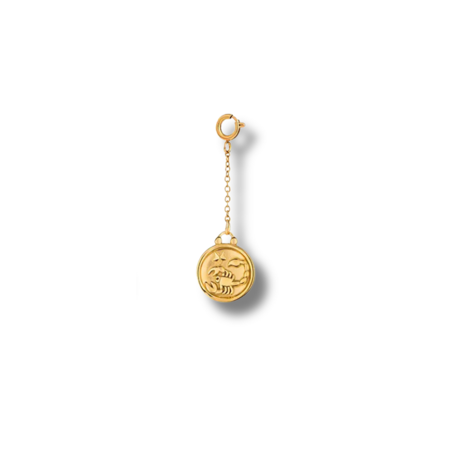 Zodiac Sign Charm
