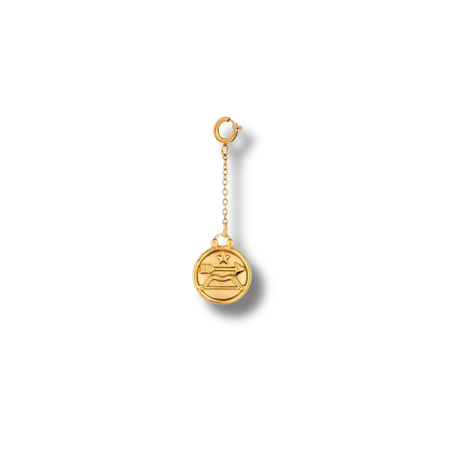 Zodiac Sign Charm