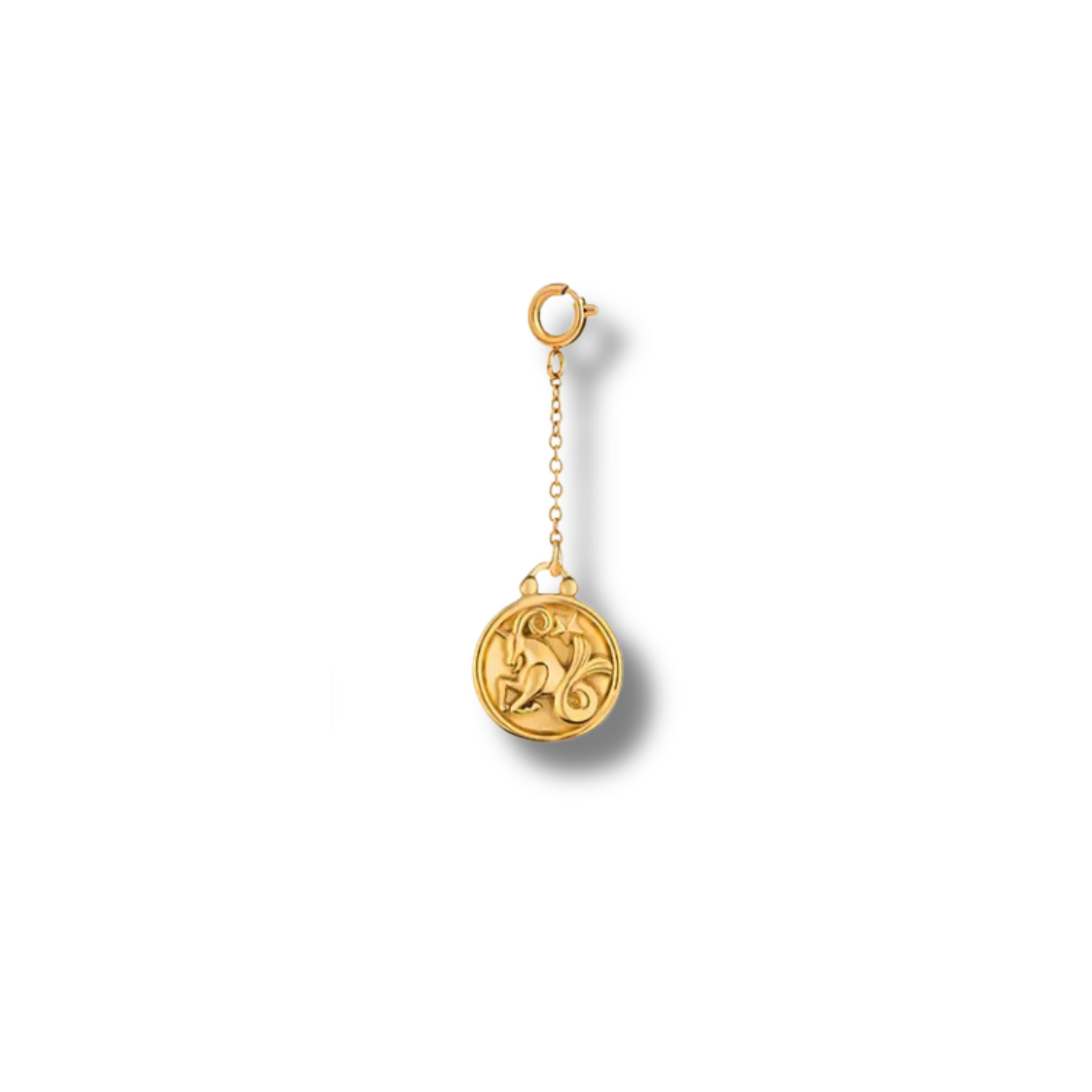 Zodiac Sign Charm