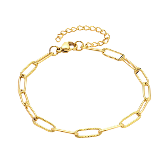 Shiny Classic Paperclip Charm Bracelet